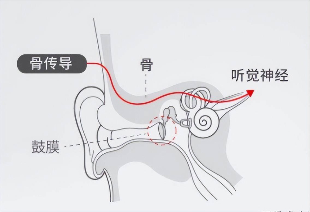 1-2503300R406450.jpg